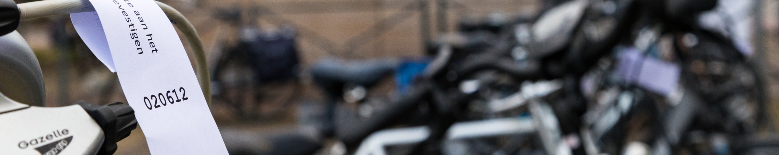 foto van fietsenstalling Perlstein